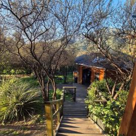 Maravillosa casa a los pies del Cerro la Campana, hotell i Viña Guzmán