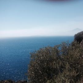 La Bouganville, hotel a Sapri