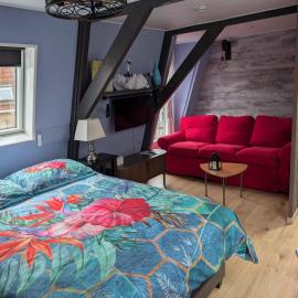 Het Zwanenest, hotel u gradu Harlingen