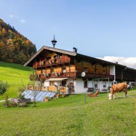 Tiroler Bergtraum Top 1