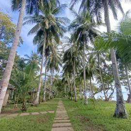 Tay Deling's Place, hotel u gradu El Nido