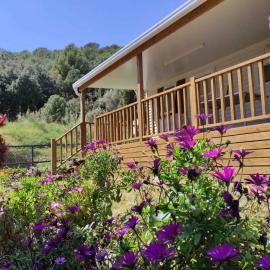 Holiday home in Calella de la Costa 3641, hotel v destinácii Calella