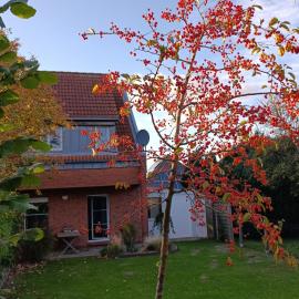 Ferienhaus Auszeit