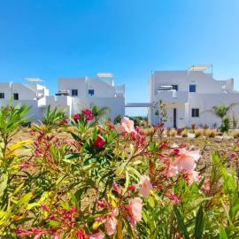 Saint Nicholas Houses, hotel in Kefalos