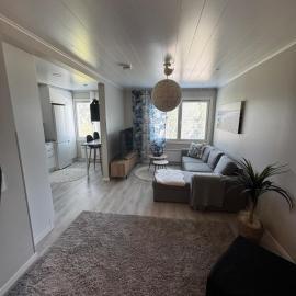 Cozy one-bedroom apartment