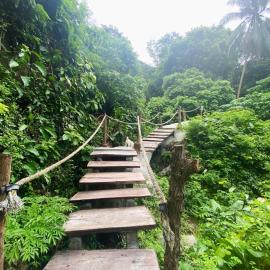 Singing Frogs Jungle Stay, hotel in Lamai