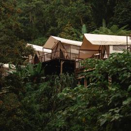 Pelaga Eco Park, hotel en Pacung