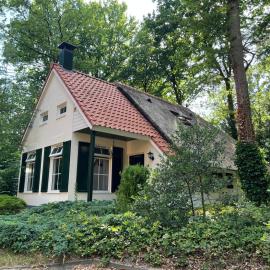 Koolmees - Between the trees! – hotel w mieście IJhorst
