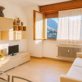 Alpine Window