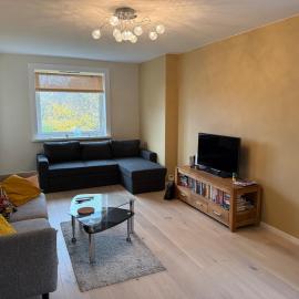 Newly renovated cozy apartment in Helsfyr!