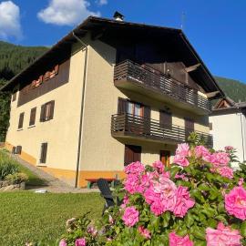 Casa Rosa Alpina, hotel en Cogolo