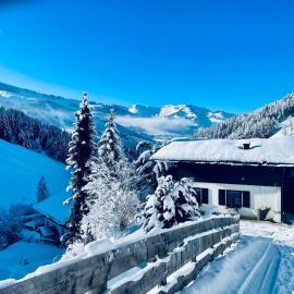 Chalet Pallegg – hotel w mieście Hinterthal
