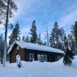 Ylläksen Taiga