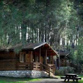 Cabañas Llano de los Conejos, hotell sihtkohas Cañamares