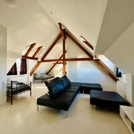 Apartmenthouse Singen, Hotel in Singen (Hohentwiel)