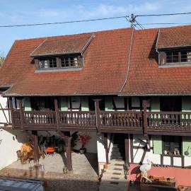 Les Perles du Ried - Gîte 1 - proche Europapark, entre Colmar et Strasbourg