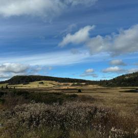 Timber Cabin With Views Over Golsfjellet, hotel Golban
