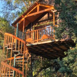 Casa de árbol Quillón, hotel u gradu 'Quillón'