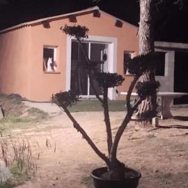 Studio Églantine, hotel in Lorgues