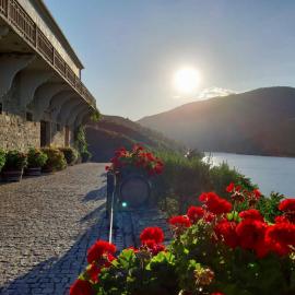 Quinta do Tedo, hotell sihtkohas Folgosa
