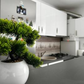 Apartament Cosmina's Dream