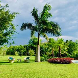 The Residence Villa Chobe, hotel a Kasane