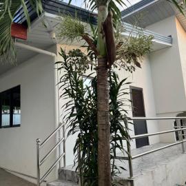 Northern Belle guesthouse, hotel in San Fernando