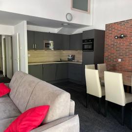 Duplex à Gourette, 10 pers, Piscine et Animaux acceptés - FR-1-860-7