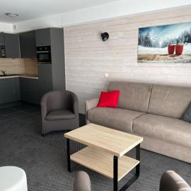 Studio 6 pers, piscine, animaux admis, Gourette - FR-1-860-33