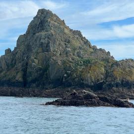 Carranade yacht, hotel in Torquay