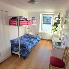 Relax Cozy Wellbeing Room Near train station, hotel a Kleinbettingen