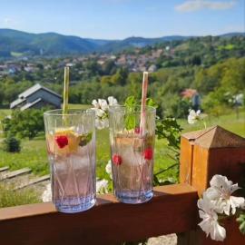 Brvnara Vrdnik