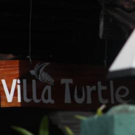 Villa Turtle