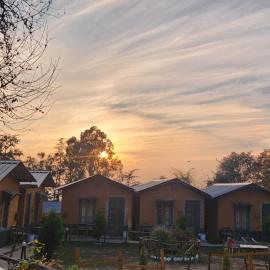 Monkey Mud House and Glamps, Bir, hotel in Bīr