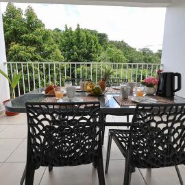 Balcon Nature&Parking-2ch Pres Aéroport-Guadeloupe