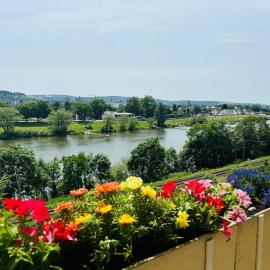 Spacious 72 sqm Moselblick apartment & top connection, hotel Trierben