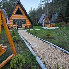 Pine forest-Black