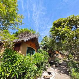 The Moon Rabbit Resort Pai