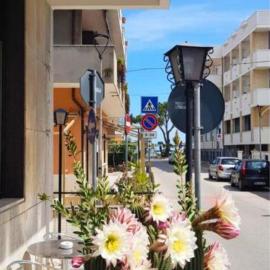 Hotel Blurelda