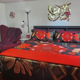 Comfortable Cozy Living Space, Kent WA