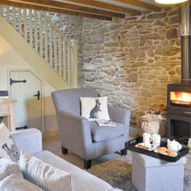 Ivy Bush Cottage, Hotel in Llanddewi-Brefi