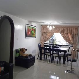 Cozy Modern Apartment, Residencia El Rodeo