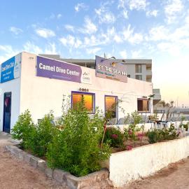 Camel Dive Club By The Sea Inn, Hotel in Jurf ad Darāwīsh