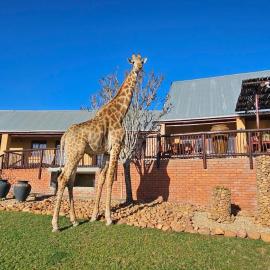 Viesnīca Valley Bushveld Country Lodge pilsētā Ado