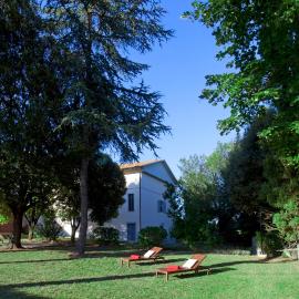Borgo Iris - Wine Farm in Cortona