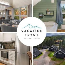 AB38- Large family cabin on Alpingrenda close to the slopes