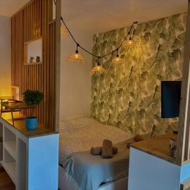 T1 cosy tout équipé, proche Airbus aéroport: Colomiers şehrinde bir otel