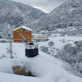 Cabaña de Troncos - Vista a la Cordillera
