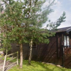 Acorn Lodge - Burnside Park