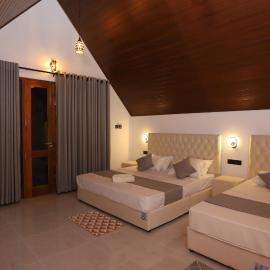 Scenic Cottage Sigiriya